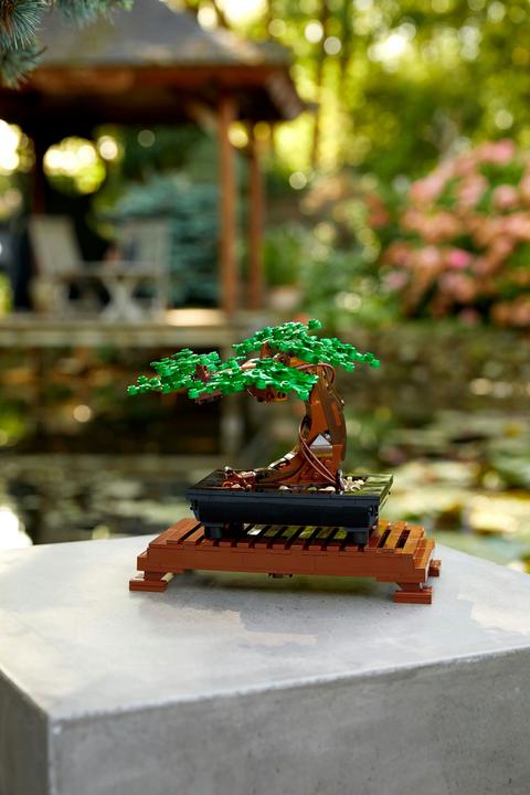 Produktbild LEGO Bonsai Baum (10281, LEGO Botanical, LEGO Icons)