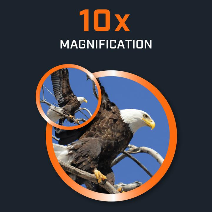 Actual product image Bushnell PowerView 2.0 10x42 MC (10x, 42 mm)