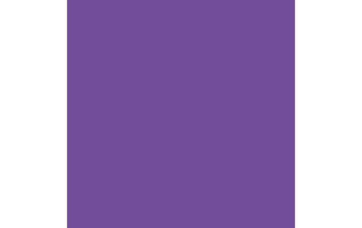 Productafbeelding Cricut Strijkfolie Inweekbare inkt 2 stuks, violet