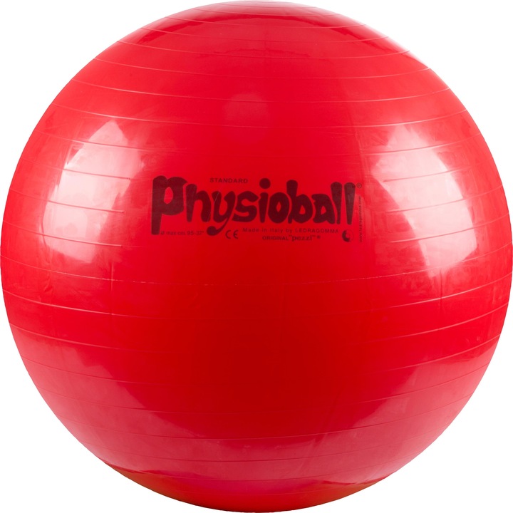 Produktbild Ledragomma Original Pezziball (95 cm)