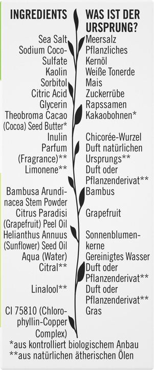 Produktbild Sante Gesichtsreinigung Mattierend Bio-Grapefruit & Meersalz 60 g (Reinigungstücher, 60000 ml)