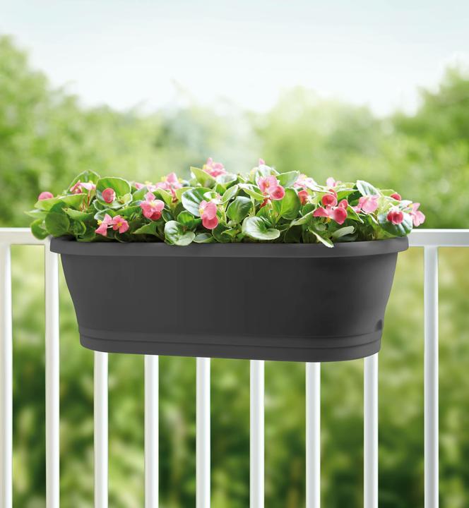 Produktbild Elho Corsica Easy Balcony (57.50 x 24 x 19 cm)