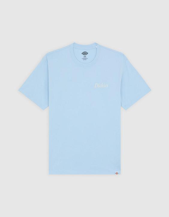 Actual product image Dickies Companion Script Ss Tee Skyway (S, M, L)