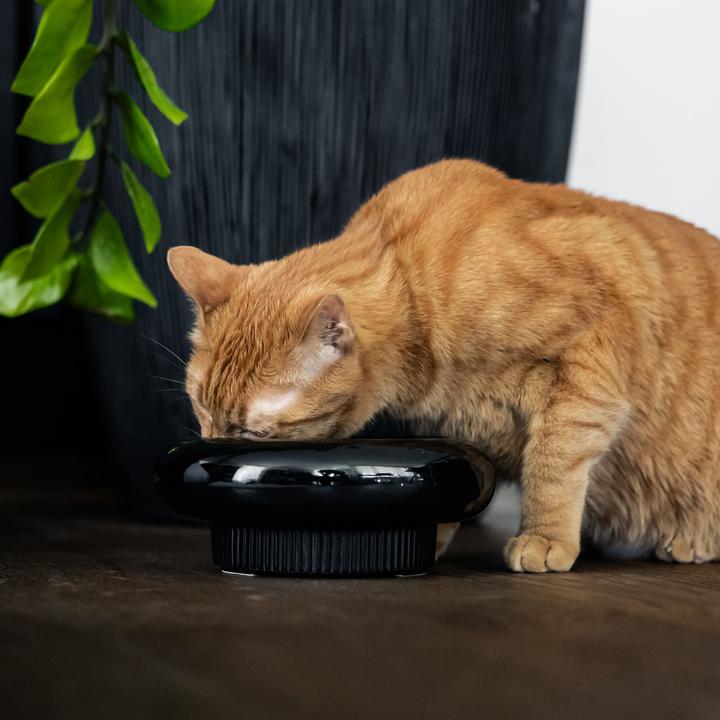 Image du produit LucyBalu MYCO Katzennapf