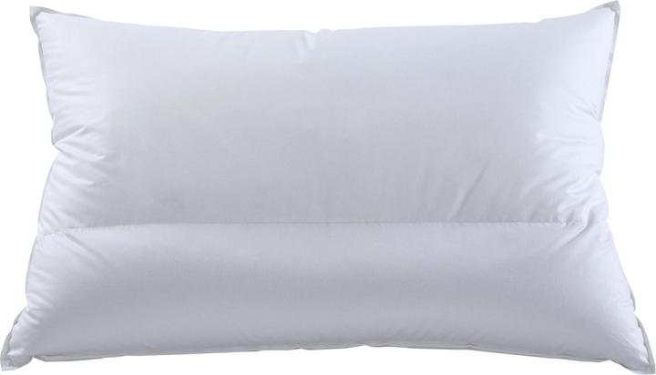 DOR Cuscino Portulaca Nature (70 x 50 cm)