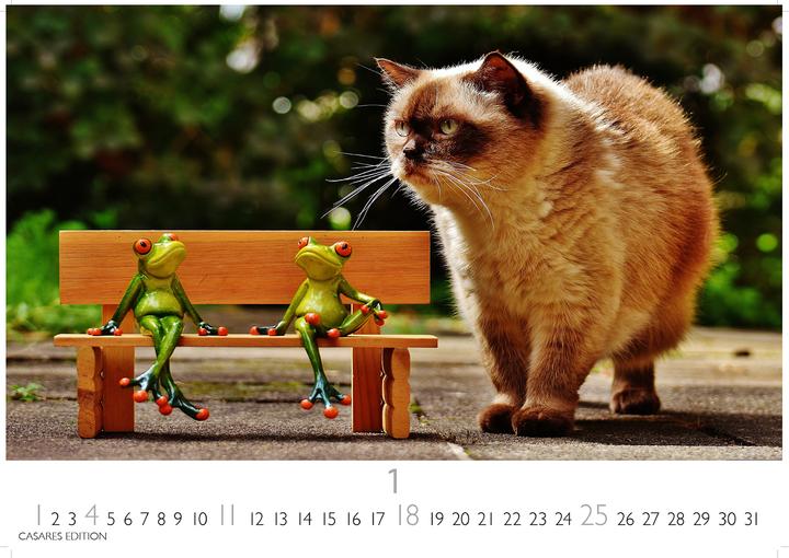 Immagine prodotto Funny Cats 2026 S 24x35cm (24 x 35 cm)