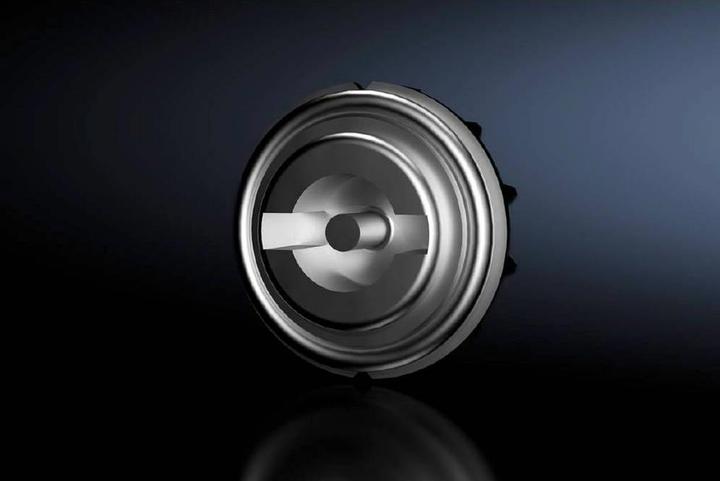 Actual product image Rittal Closure insert, double beard