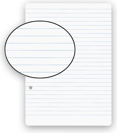 Actual product image Biella insert sheets