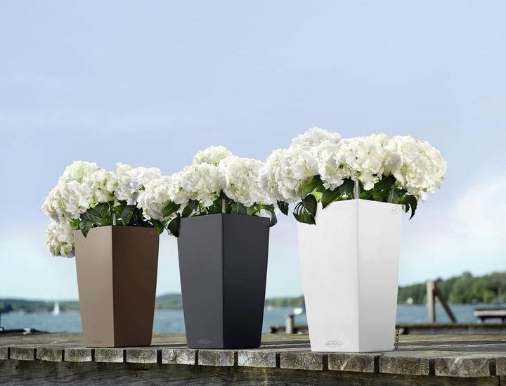 Actual product image Lechuza Cubico Color (29.50 cm)