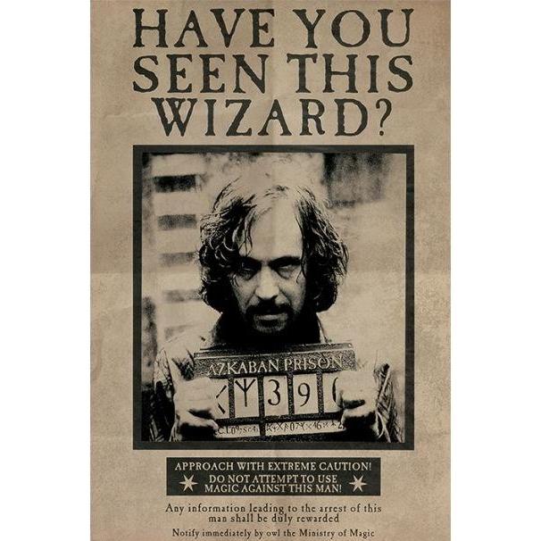 Pyramid, Bilder, HARRY POTTER - Poster 61x91 - Wanted Serius Black (61 x 91 cm)