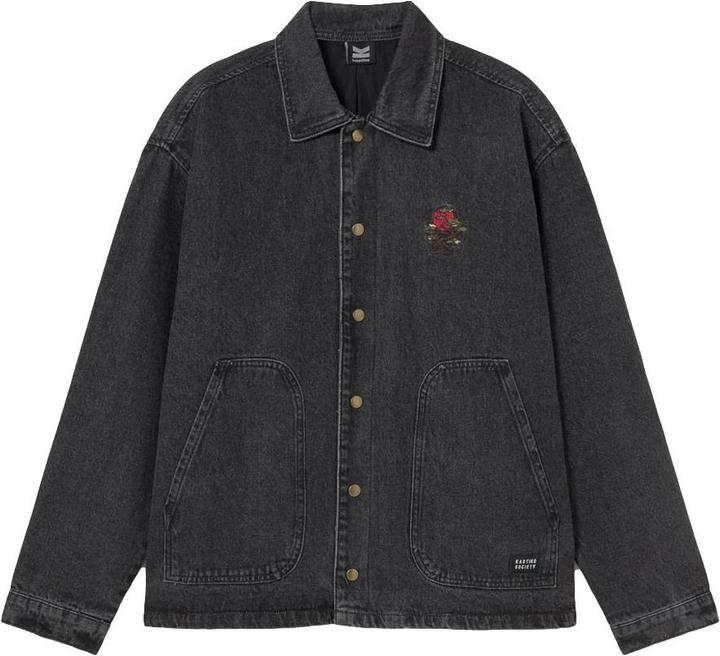 Actual product image Kaotiko Bonsai (M)