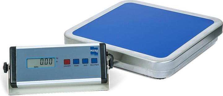 Pesola All-purpose platform scale, 60 kg, with RS-232 interface