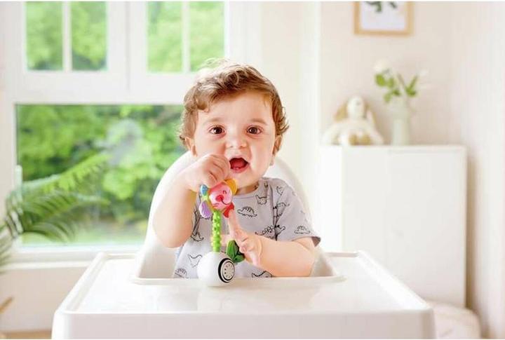 Image du produit Hape Shake n Sparkle Rattle de fleurs