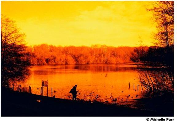 Produktbild Harman Photo RED 125 film – 120 FORMAT