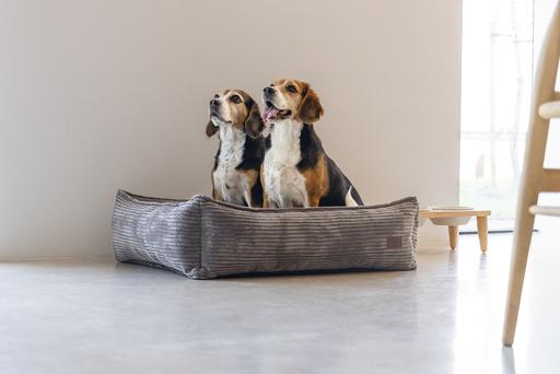 Actual product image Designed by Lotte Ribbed (Dog)
