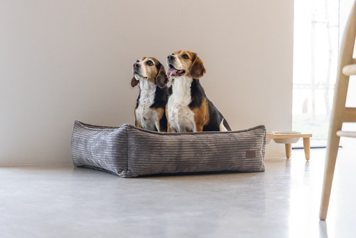 Productafbeelding Designed by Lotte Geribbeld divanbed (Hond)