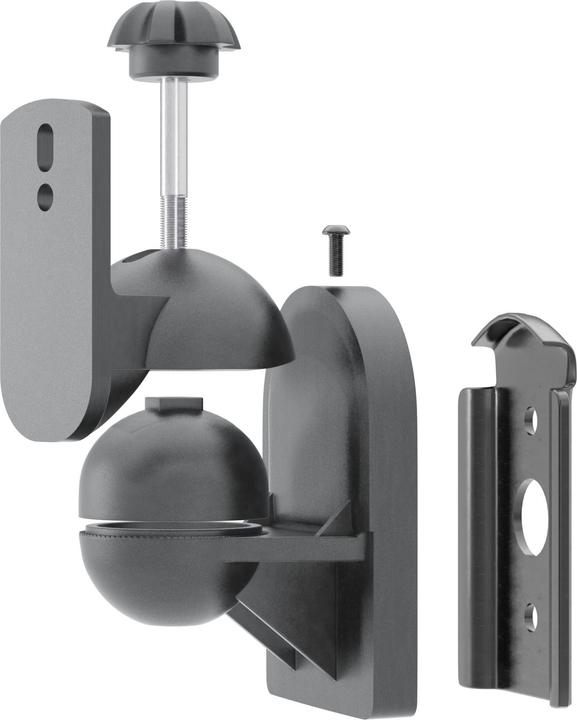 Actual product image Goobay Universal (1 pair, Wall installation, Pivoting, Tiltable)