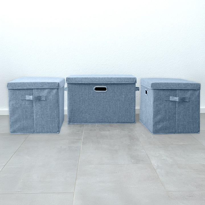 Produktbild Intirilife Aufbewahrungsbox Organizer (41 l)