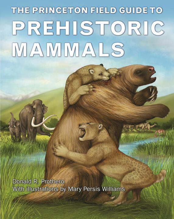 Produktbild Field Guide to Prehistoric Mammals (Englisch, Donald R. Prothero, Mary Persis Williams)