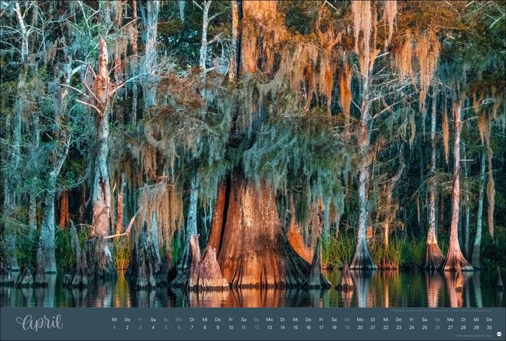 Actual product image Zauberwälder Edition Kalender 2026 (58 x 39 cm)