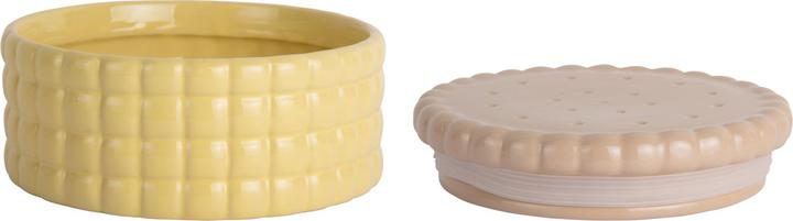 Actual product image present time Storage Jar Biscuit Box Large (4.85 l)