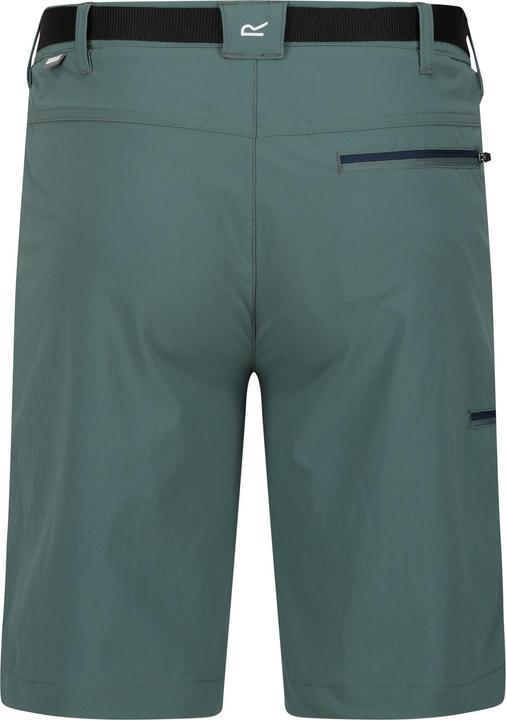 Actual product image Regatta Mens Xert III Stretch Shorts (56)