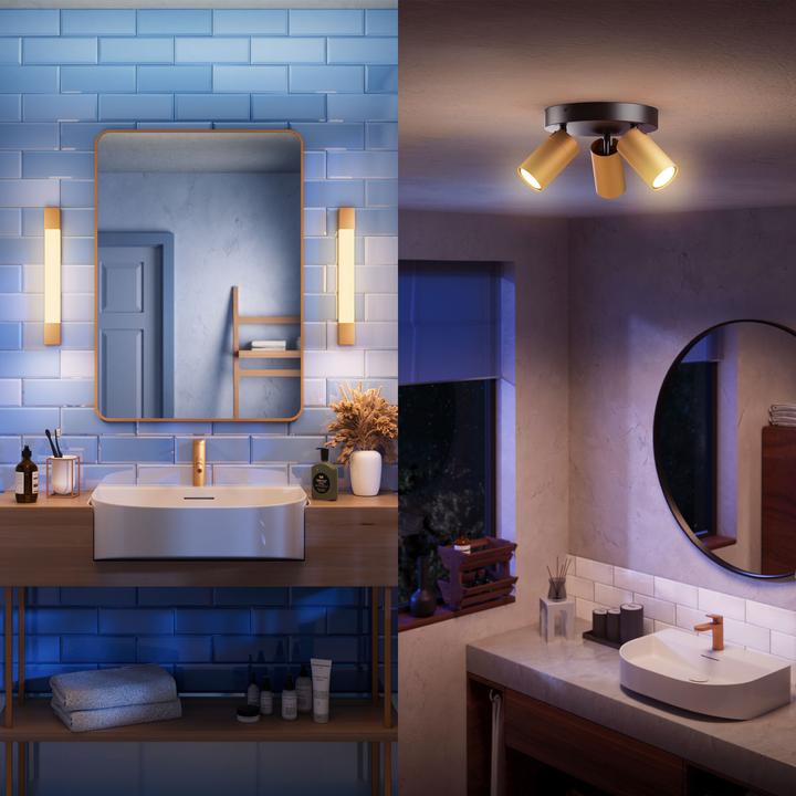 Produktbild Philips Rover (1500 lm)