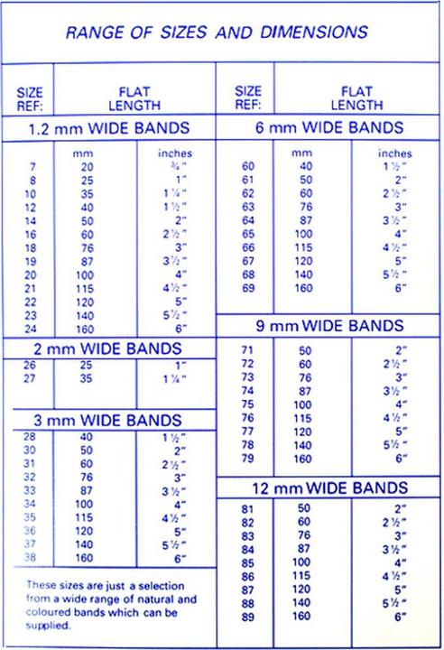 Image du produit Censtretch - Lot de élastiques