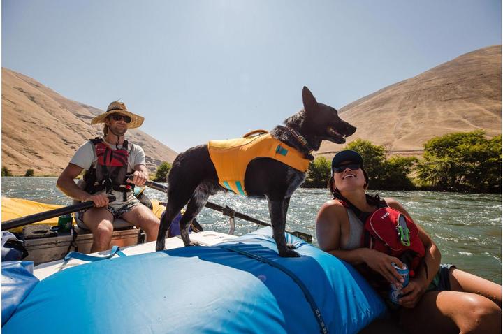 Produktbild Ruffwear Float Coat (S, Hundeschwimmweste)
