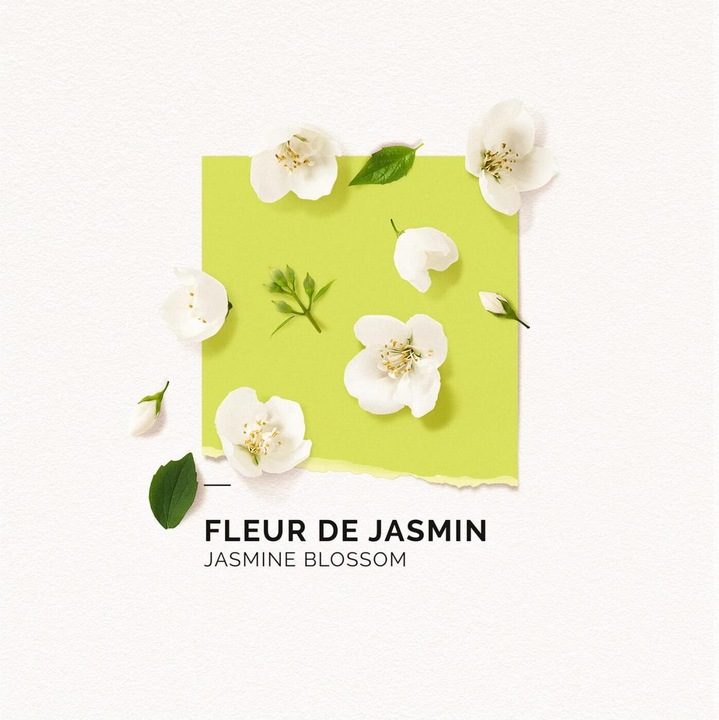 Produktbild Solinotes Paris Solinotes - Fleur De Jasmin Eau De Parfum (Eau de Parfum, 50 ml)