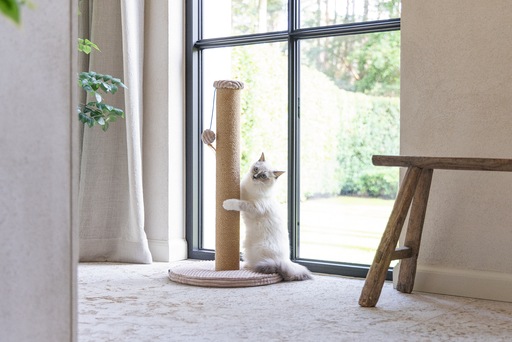 Actual product image Designed by Lotte Scratching post (70 cm, Rose)