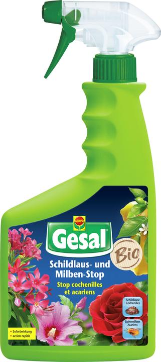 Gesal Stop cochenilles et acariens liq (Red spider mites, Scale insects)