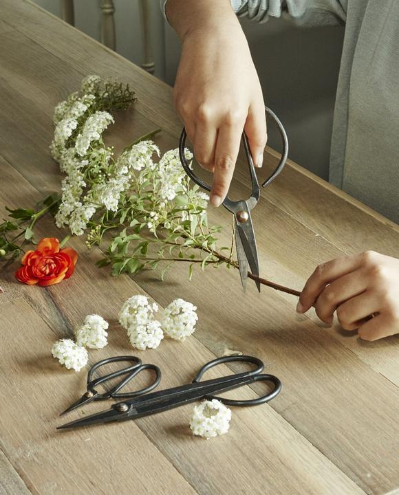 Actual product image Kikkerland Shears Set