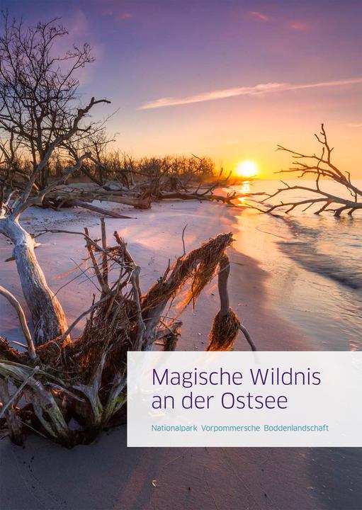 Produktbild Magische Wildnis an der Ostsee (Deutsch, Frderverein Nationalpark Boddenlandschaft e.V., Jan Baginski, Jürgen Reich, Timm Allrich, 2020)