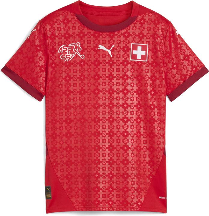 Puma SFV Home