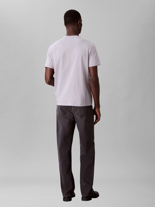 Image du produit Calvin Klein Jeans Ss Badge 30s Jersey Classic Tee (XL)