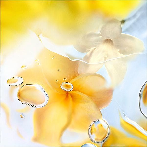 Immagine prodotto Lancôme O de Zenith (Eau de toilette, 100 ml)