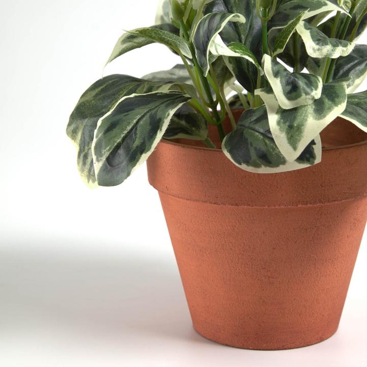 Produktbild Kave Home Aucuba (22 cm)