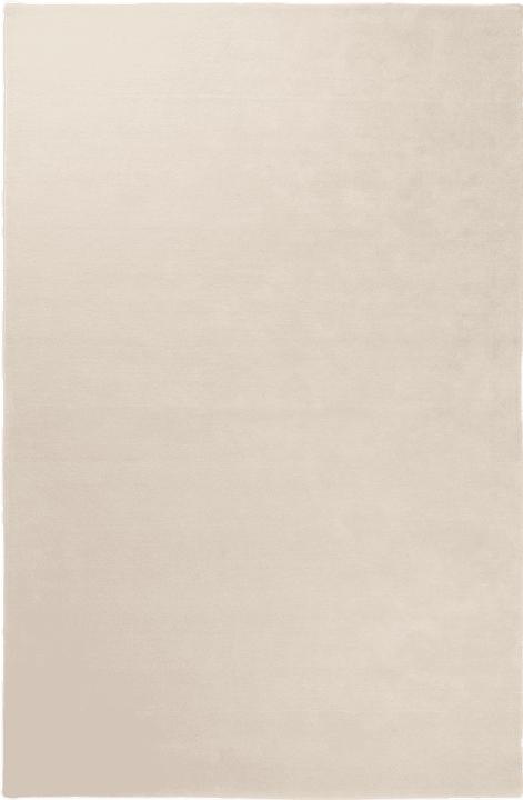 Beige, Off-White
