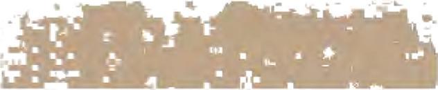 Actual product image Schmincke Pastel Crayon Sepia Brown 037 M (1x)