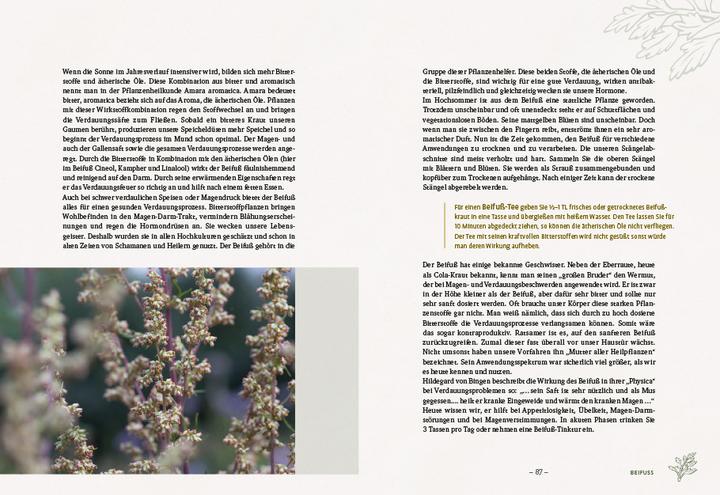 Actual product image Die wilden Neun (German, Simone Detto, Doris Grappendorf, 2023)