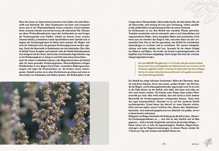 Immagine prodotto Die wilden Neun (Tedesco, Simone Detto, Doris Grappendorf, 2023)