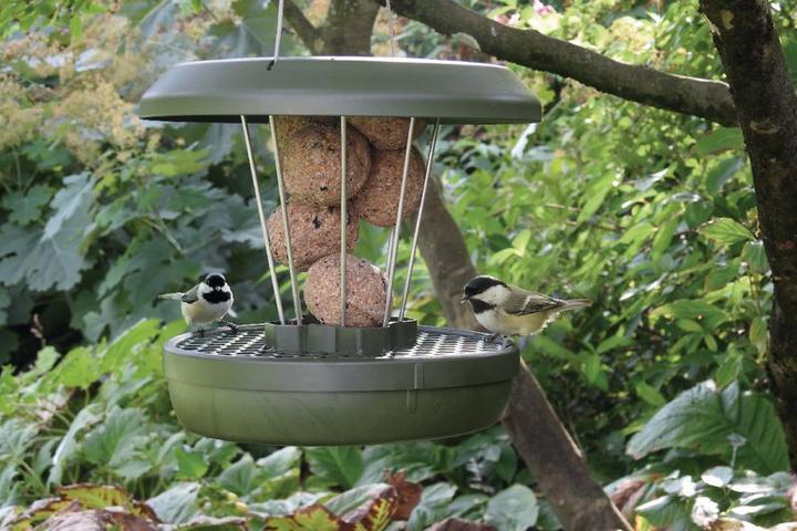 Actual product image Swissinno Vogel-Futtersilo "Lucerne" Smart Birds