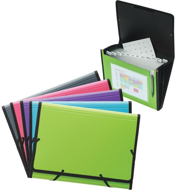 Immagine prodotto Kolma Cartella a ventaglio A4 superstrong 12 linguette verde (A4, 1 x)