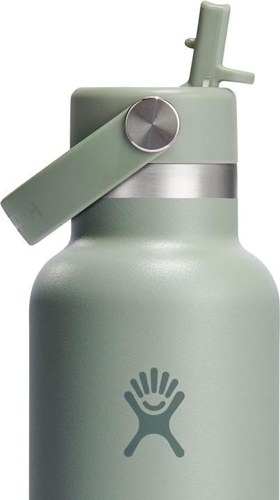Actual product image Hydro Flask Standard Flex Straw Cap (0.62 l)