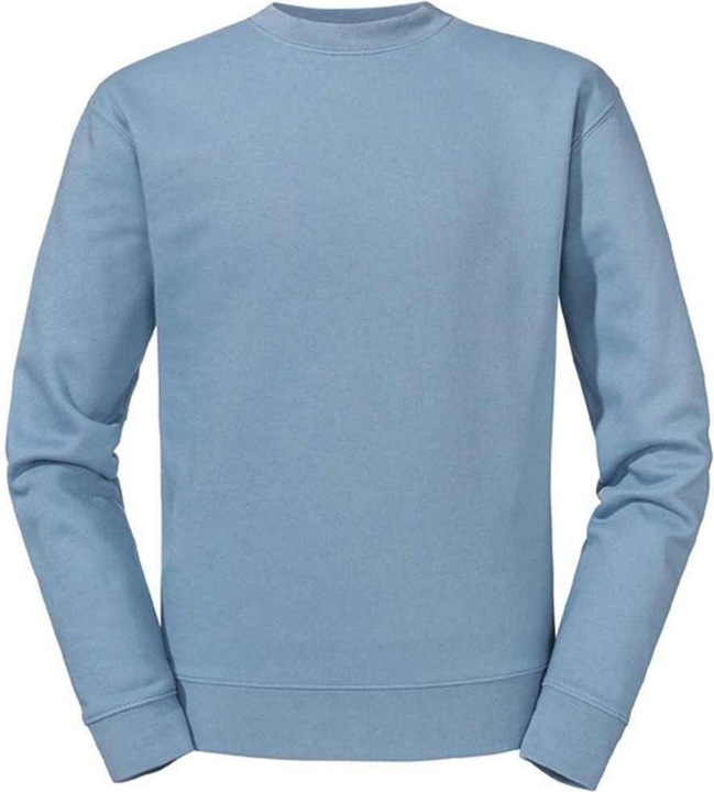Actual product image Russell Authentic Hoodie (M)