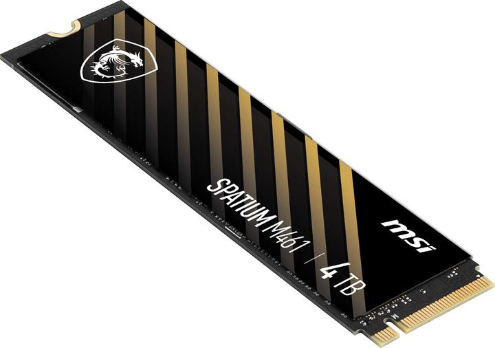 Image du produit MSI Spatium M461 (4000 Go, M.2 2280)