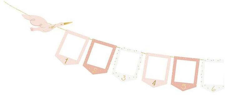 Produktbild Partydeco Guirlande - Cadre photos rose (1 Stk.)