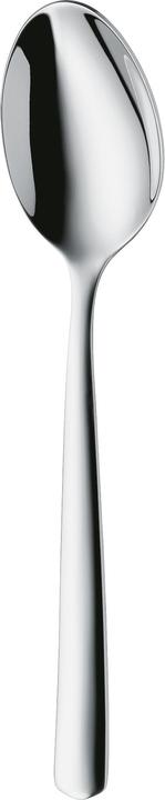 Actual product image WMF Boston (1 pcs., Scoops)