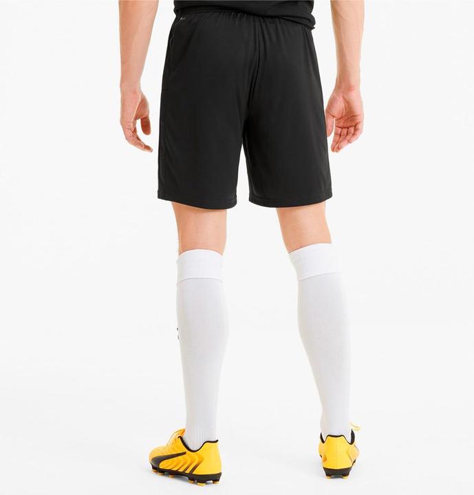 Produktbild Puma Teamgoal 23 Shorts (56)
